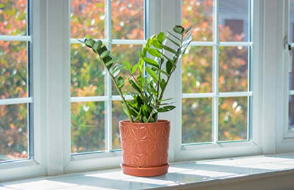 D'vine Dev 2-Pack Geometric Stoneware Planters, 3.8/5.8 in, Canyon, 99-E-5 | Drainage Hole and Saucer, Sculptural Geometric Design, Rich Glazed Surface, Modern Style, Elegant Accent for Indoor Plants - color: Pottery Red