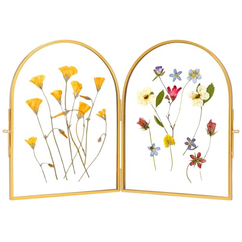 REDHUGO Double Glass Frame for Pressed Flowers Arc Gold, 6×8 Inches | Handmade, Pressed Flower Frame, Hinged Tabletop Brass Photo Frames, Dried Flower Display Folding Picture Frame for Home - color: Gold, size: 6L" x 8W"