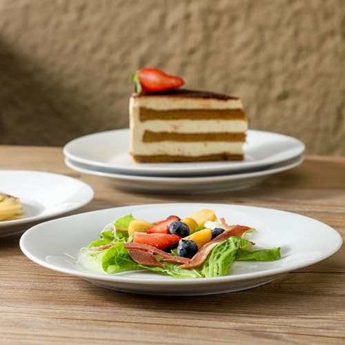 fMBB 4-Piece Salad Plates Set, 8 inch Ceramic Lightweight Round Plate Dessert Dish, Smooth Glaze - White Modern Dinnerware Set for Kitchen Serving - color: Round7.87"