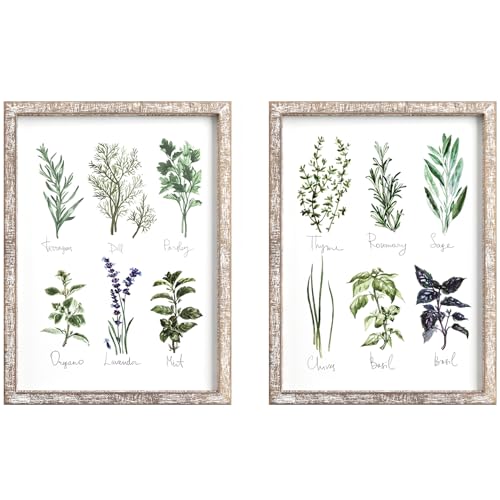 Barnyard Designs Herbs and Spices Wall Art Sign Set (Herbs A & B, 2 Signs) | Botanical Print Rustic Country Farmhouse Wood Plaque; Framed Kitchen Decor; Pair of Hanging Plaques