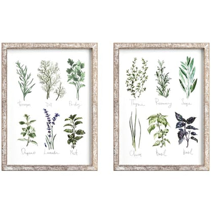 Barnyard Designs Herbs and Spices Wall Art Sign Set (Herbs A & B, 2 Signs) | Botanical Print Rustic Country Farmhouse Wood Plaque; Framed Kitchen Decor; Pair of Hanging Plaques
