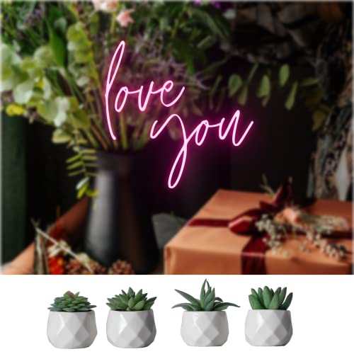 CADNLY Fake Succulent Plant Set - Artificial Plants for Women Desk - Realistic Faux Succulents in Ceramic Pots - Mini Green Decor for Bedroom Bathroom Office Shelf 4 Pack