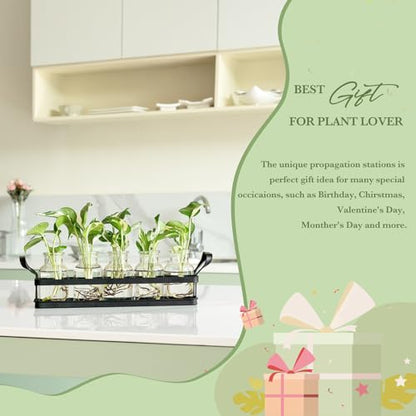 Mkono Propagation Stations, 5 Jars Desktop Glass Plant Terrarium with Stand | Flower Vase, Hydroponic Cuttings, Easy Water Refill,Clear Root View Planter,Farmhouse Home Office Decor, Gardening Lover Gift - size: Large