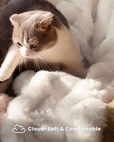 Ultra Soft Cozy Faux Fur Throw Blanket, Fuzzy Plush Thick Bubble Blanket, Oversize Luxury Fluffy Blanket for Couch, Bed, and Living Room, 60x80 Inches, Cream White - color: Cream White, size: Twin