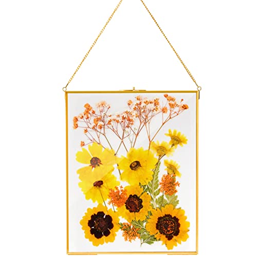 AVLA Brass Hanging Photo Frame, 11x14 Inch Double Glass Floating Display for Pressed Flowers, Large Picture Artwork, Golden Gallery Wall for Specimen, Certificate, Home Decor - color: Gold-Large-1pc