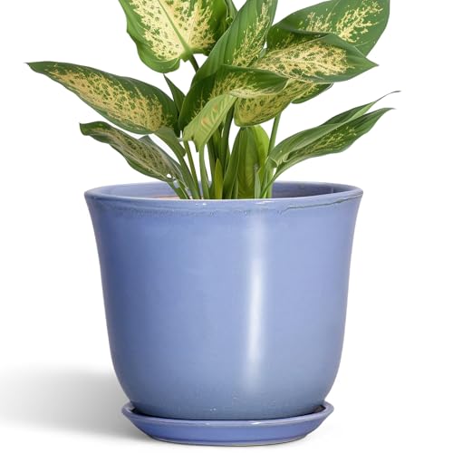 Ceramic Plant Pots, 5.6 Inch Plant Pot for Indoor, Purple-Blue | Round Planters with Drainage Hole and Saucer, Modern Orchid Succulent Pots, Patio Room Decor, House Warming Gifts - color: Purple-blue, size: 6 Inch