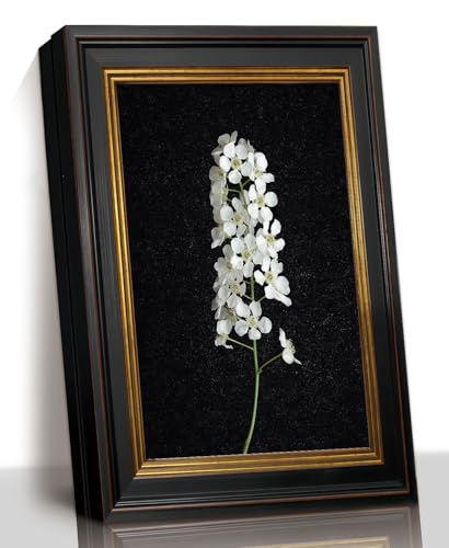 White Flower Branch Wall Art, Dark Botanical Vintage Gold Frame, 9x11 | White floral branch against a deep black backdrop creates a striking vintage accent for shelves, desks, and small walls. - color: white flower branch, size: 11"L x 9"W