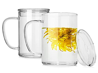 LUXU Glass Coffee Mugs (Set of 2),27oz Large Glass Coffee Cups Clear Glass Tea Cups Overnight Oats Containers with Glass Lid,Cute Coffee Bar Accessories,Iced Coffee Glasses for Latte,Cereal,Yogur - style: 27 oz large coffee mugs