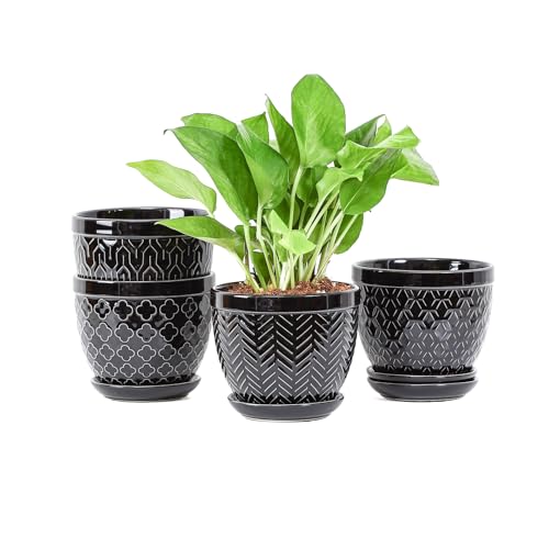Sureasy Ceramic Indoor Plant Pots - 5.6 Inch Flower Pots for Plants with Drainage Hole and Saucer, Embossed Planter for Succulents, Orchid, Cactus, Indoor Home Decor, Set of 4, Black - color: Black, size: 5.6 inch
