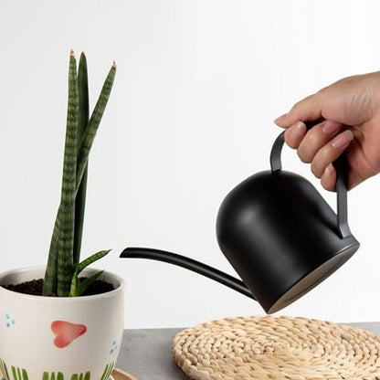 IMEEA Small Watering Can for Indoor Plants Stainless Steel Watering Can with Long Spout 15oz/450ml, (Black) - color: 15oz (Matte Black)