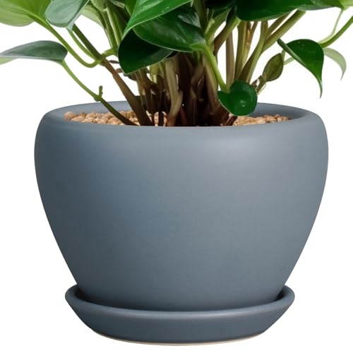 Ceramicfor Ceramic Pot for Plants - 6 Inch Plant Pot Indoor with Drainage Hole and Saucer Decorative Planter for Outdoor Plants Modern Succulent Pots Round Flower Pots Gray - color: Matte Gray, size: 6 Inch