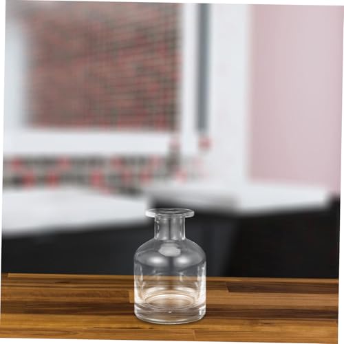 Didiseaon 2pcs Decorative Glass Oil Diffuser Bottles Essential Oil Diffuser Containers Reed Sticks - color: Transparent
