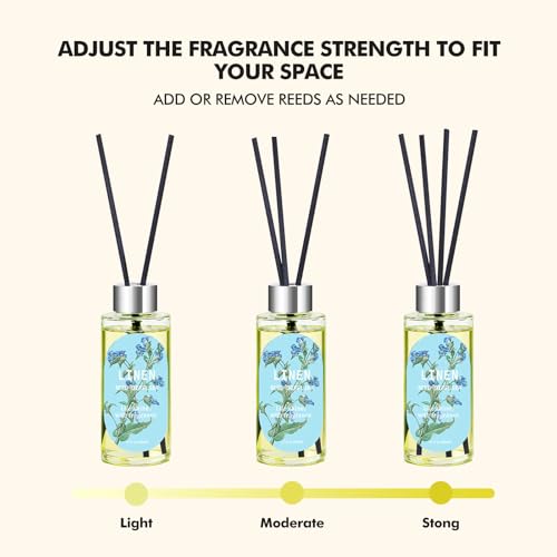 Reed Diffuser Set, Eucalyptus, Linen, Citrus, Oil Diffusers with 15 Reeds | 1.7 fl oz Each, Long-Lasting Home Fragrance for Bedroom, Bathroom Decor, 3 Pack, Total 5.1 oz
