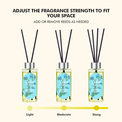 Reed Diffuser Set, Eucalyptus, Linen, Citrus, Oil Diffusers with 15 Reeds | 1.7 fl oz Each, Long-Lasting Home Fragrance for Bedroom, Bathroom Decor, 3 Pack, Total 5.1 oz