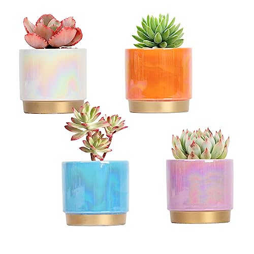 Gepege Succulent Pots for Plants, Succulent Planter with Drainage Holes, Ceramic Pot for Indoor Plant, Set of 4 - color: 4colors-set4, size: 4inch-set of 4