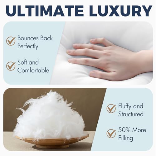 MIULEE 24x24 Inch Synthetic Down Alternative Euro Pillow Insert | Euro Decorative Throw Pillow 24 x 24 Inch Body Bed Sleeping Ultra Soft Fluffy Form for Sofa Couch Bed - size: 24x24Inch (pack of 1)