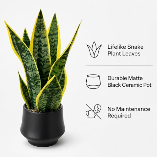 15" Artificial Snake Plant, Faux Sansevieria in Ceramic Pot