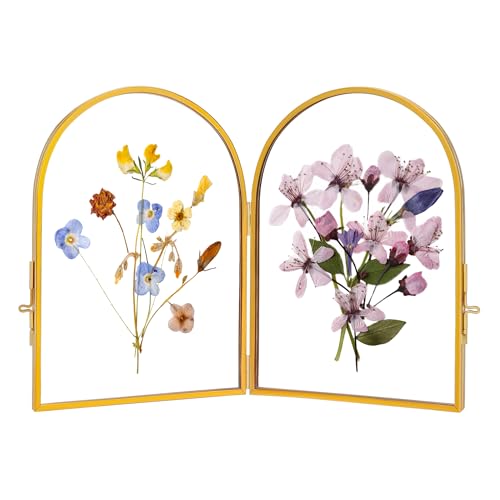 REDHUGO Double Glass Frame for Pressed Flowers Arc Gold, 4×6 Inches | Handmade, Pressed Flower Frame, Hinged Tabletop Brass Photo Frames, Dried Flower Display Folding Picture Frame for Home - color: Gold, size: 4L" x 6W"