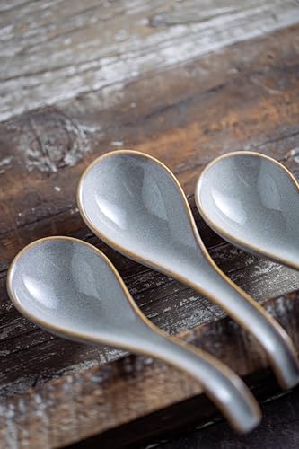 LYEOBOH Ceramic Asian Soup Spoons Set of 6, Ramen Spoons with Long Handle | Japanese Ramen Spoons with Deep Hook Design for Miso Rice, Chinese Soup Spoons for Kitchen, Dishwasher Microwave Safe, Gray - color: Gray