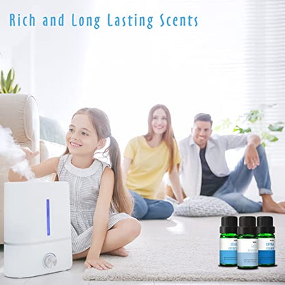 Fragrance Oil Set, MitFlor Clean Essential Oils for Diffusers for Home, 6 x10 ml, Fragrance Oil for Candle Soap Making, Diffuser Oils Gift Set, Fresh Linen, Pure Soap and More Scents