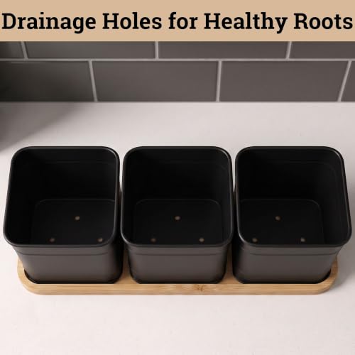Herb Planter Indoor, 3-pc Herb Pots w/ Drainage Holes, Bamboo Tray & Labels | Iron Herb Pots, Varnished Bamboo Tray with Anti-Skid Base, Customizable Oval Sticker and Stick Labels & Chalkboard Marker Pen - color: Black