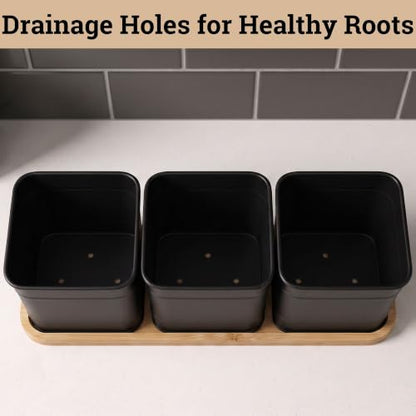 Herb Planter Indoor, 3-pc Herb Pots w/ Drainage Holes, Bamboo Tray & Labels | Iron Herb Pots, Varnished Bamboo Tray with Anti-Skid Base, Customizable Oval Sticker and Stick Labels & Chalkboard Marker Pen - color: Black