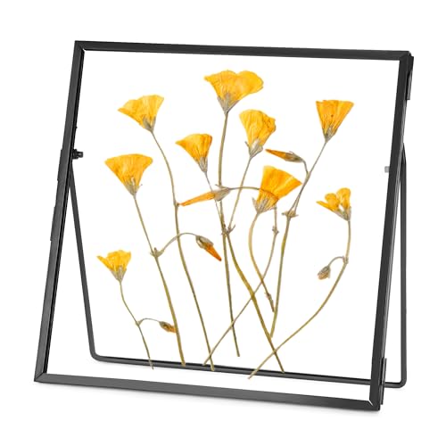 REDHUGO Double Glass Frame for Pressed Flowers, Square, Black, 4x4 Inches | Handmade, Tabletop Photo Frame for Floating Picture and Flower Press, Simple, Metal Geometric - color: Black, size: 4L" x 4W"