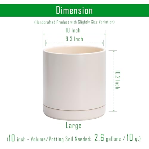 D'vine Dev 10 Inch Ceramic Planter Pot, Oatmeal, 94-O-E-8 | Modern Cylinder Design, Drainage Hole & Saucer Included, Stable Structure, Elegant Home Accent - color: Oatmeal, size: Large