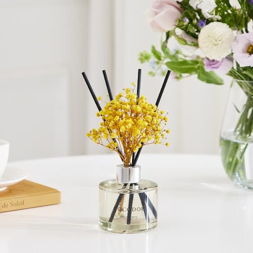 COCODOR Preserved Real Flower Reed Diffuser/Clean Linen / 6.7oz(200ml) / 2 Pack/Reed Diffuser Set, Oil Diffuser & Reed Diffuser Sticks, Home Decor & Office Decor, Fragrance and Gifts - size: Real Flower/6.7Ounce/2Pack