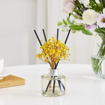 COCODOR Preserved Real Flower Reed Diffuser/Clean Linen / 6.7oz(200ml) / 2 Pack/Reed Diffuser Set, Oil Diffuser & Reed Diffuser Sticks, Home Decor & Office Decor, Fragrance and Gifts - size: Real Flower/6.7Ounce/2Pack