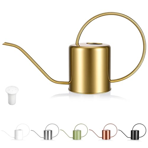 Plant Watering Can, 50 oz / 1500 ml Stainless Steel Metal - Modern Decorative with Long Spout for Indoor Potted Plants, Bonsai, Garden Flowers, Gold - color: Gold