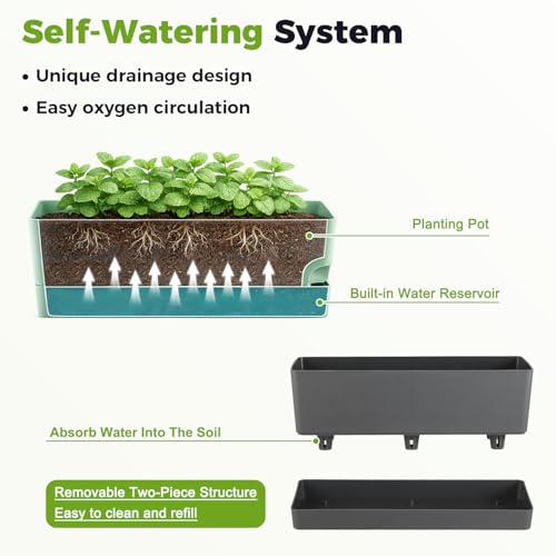 2 Pack Rectangle Self Watering Pots for Indoor Plants 17 Inches Window Boxes Planters Rectangular Flower Pots Herb Large Plant Pots with Drainage Holes and Saucers Windowsill Planter, Grey - color: Gray