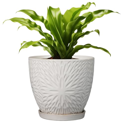 G EPGardening 8 Inch Ceramic Plant Pot with Drainage Hole and Saucer Round Planter Pot for Indoor Outdoor Plants Modern Large Flower Pot White - size: 8 Inch