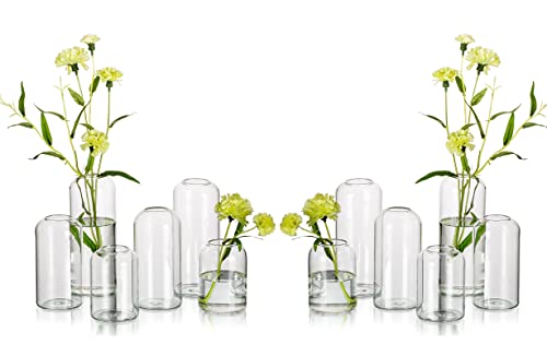 Glass Bud Vases for Flowers - Hewory Blown Modern Small Glass Vases for Centerpieces Set of 12, Mini Clear Bulk Flower Vases for Wedding Party Events Home Decor Floral Arrangement (Not Include Flower) | Mini Centerpieces for Wedding, Party, Events, Floral