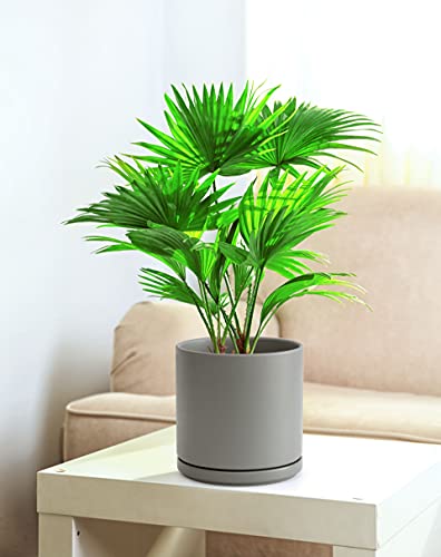 D'vine Dev 8 Inch Ceramic Planter Pot, Grey, 94-O-D-3 | Modern Cylinder Design, Drainage Hole & Saucer Included, Stable Structure, Elegant Home Accent - color: Gray, size: Medium