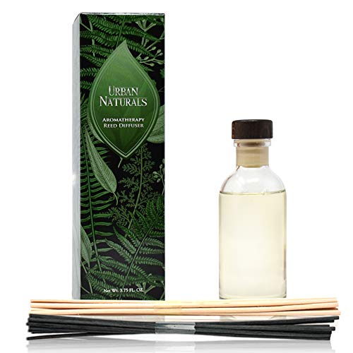 Coconut Breeze Reed Diffuser Oil Set with Reed Sticks – Warm Coconut, Pineapple and Tahitian Vanilla - Made in The USA - color: Coconut Breeze