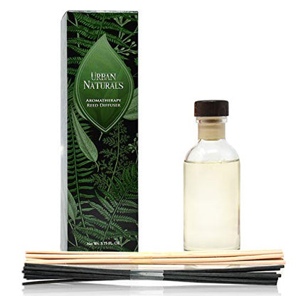 Coconut Breeze Reed Diffuser Oil Set with Reed Sticks – Warm Coconut, Pineapple and Tahitian Vanilla - Made in The USA - color: Coconut Breeze