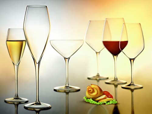 Luigi Bormioli Atelier 10 oz Cocktail Glasses (Set Of 6) : Ultra Clear Glass, Laser Cut Rim, Lead-Free, Elegant Drinking Glassware, Dishwasher Safe, Fine Quality