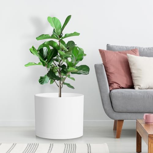 Large Plant Pots Set of 3 – 8", 9", 10" Indoor Flower Pots with Drainage Holes and Saucers, Big Planters for Monstera, Fiddle Leaf Fig, Snake Plant – 5 Colors - color: White