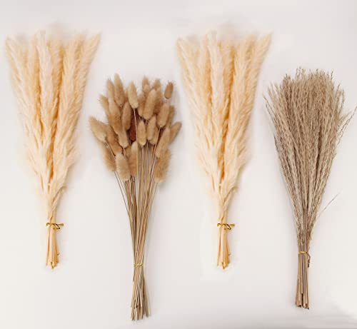 Natural Dried Pampas Grass Decor, Beige Pampas Grass, Bunny Tails Dried Flowers, Reed Grass Bouquet for Wedding Boho Flowers Home Table Decor, Rustic Farmhouse Party (100 in Total ) - size: 100PCS-Beige