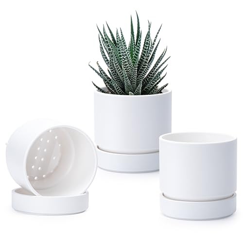 Phoenix Vine 4 Inch Planter Pot with Drainage Hole & Saucer, Deep Water Catch Tray, Straight Cylindrical Round Pot for Plants, Matte White, Pack of 3, 23-B-R-3 - color: Matte White, size: 4" (3 Pack)