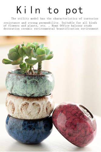 Ceramic Plants Pots 3 Inch Set of 4 Flower Pots with Drainage and Bamboo Tray for Indoor/Outdoor Small House Plants,Foliage Plant - style: Set 1