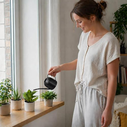 IMEEA Small Watering Can for Indoor Plants Stainless Steel Watering Can with Long Spout 15oz/450ml, (Black) - color: 15oz (Matte Black)
