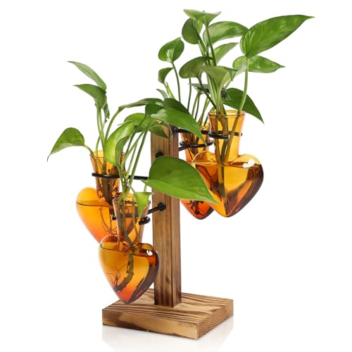 Plant Terrarium Propagation Stations with Wooden Stand | Glass Vase for Indoor Hydroponics Home Garden Office Decoration Gift for Women - 4 Love Bulb Vase - color: Arbor