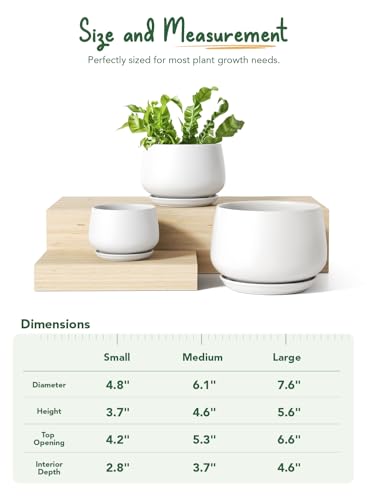 LE TAUCI Ceramic Plant Pots, 4.1+5.1+6.5 inch, Set of 3, Planters with Drainage Hole and Saucer, Indoor Flower Pot with Hole Mesh Pad, Gifts for Mom, White - color: White