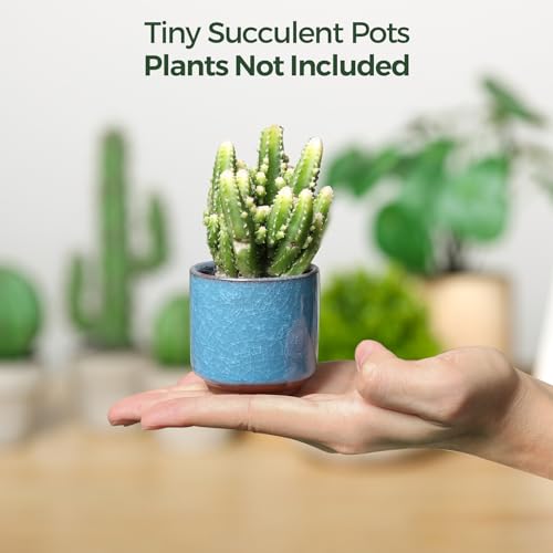 T4U 2.5 Inch Small Ceramic Succulent Planter Pot with Drainage Hole Set of 6, Ice Crack Glaze Plant Container for Cactus, Succulent Plant Gifts for Women Mom Aunt Home Office Decor | Deep root containers, for small cactus plants, bonsai tree starter pots,