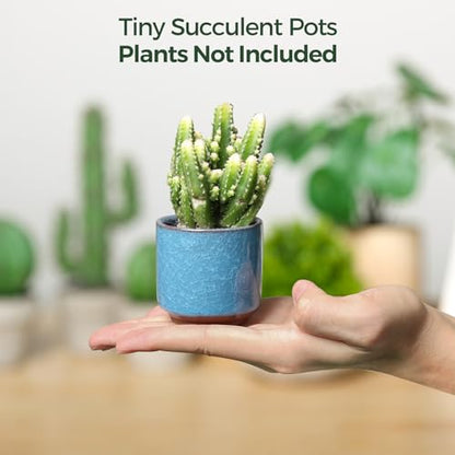 T4U 2.5 Inch Small Ceramic Succulent Planter Pot with Drainage Hole Set of 6, Ice Crack Glaze Plant Container for Cactus, Succulent Plant Gifts for Women Mom Aunt Home Office Decor | Deep root containers, for small cactus plants, bonsai tree starter pots,