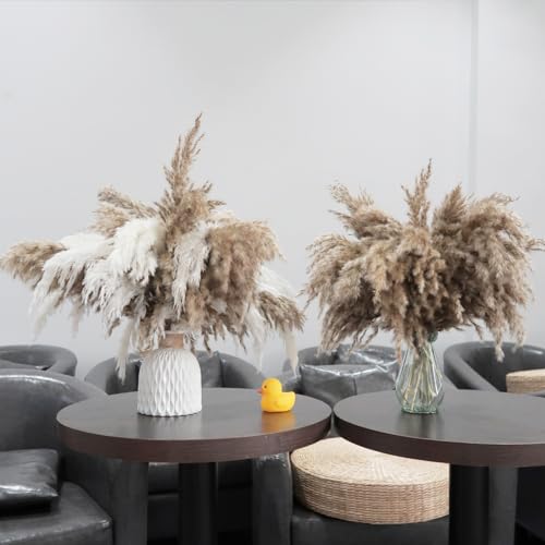 ROOLLYA 17 inch 20 Stems Pampas Grass Decor Tall -Natural Fluffy Pampas Grass Tall Pompas Grass for Floor Vase - Boho Decor Home Decor Wedding Decor Event Decor, 2404-c15-20brown & 10white-45cm - size: 20brown & 10white - 17 Inch