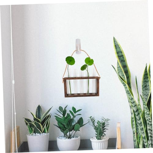 Toyvian 1 Set Wall Mounted Hydroponic Planter with Wooden Stand of Glass Test Tube Vases for Home Decoration for Plant Terrariums and Propagation Stations