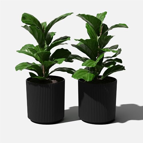 Veradek Round Demi Planter Pots for Indoor/Outdoor Garden Use, Made from Plastic-Concrete Mix with Drainage Holes, Perfect for Small to Large Succulent Plants, Flowers, Modern Interior Plants | Made From a Durable Plastic-Stone Composite With Pre-Drilled